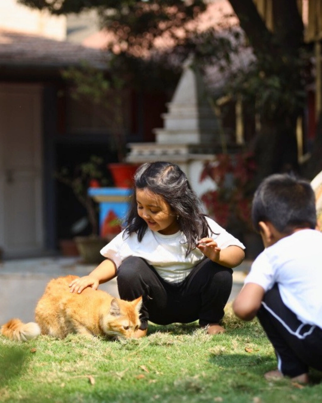 Empathy Through Co-habitation